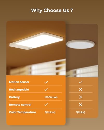 MotionSense Rechargeable Ceiling Light