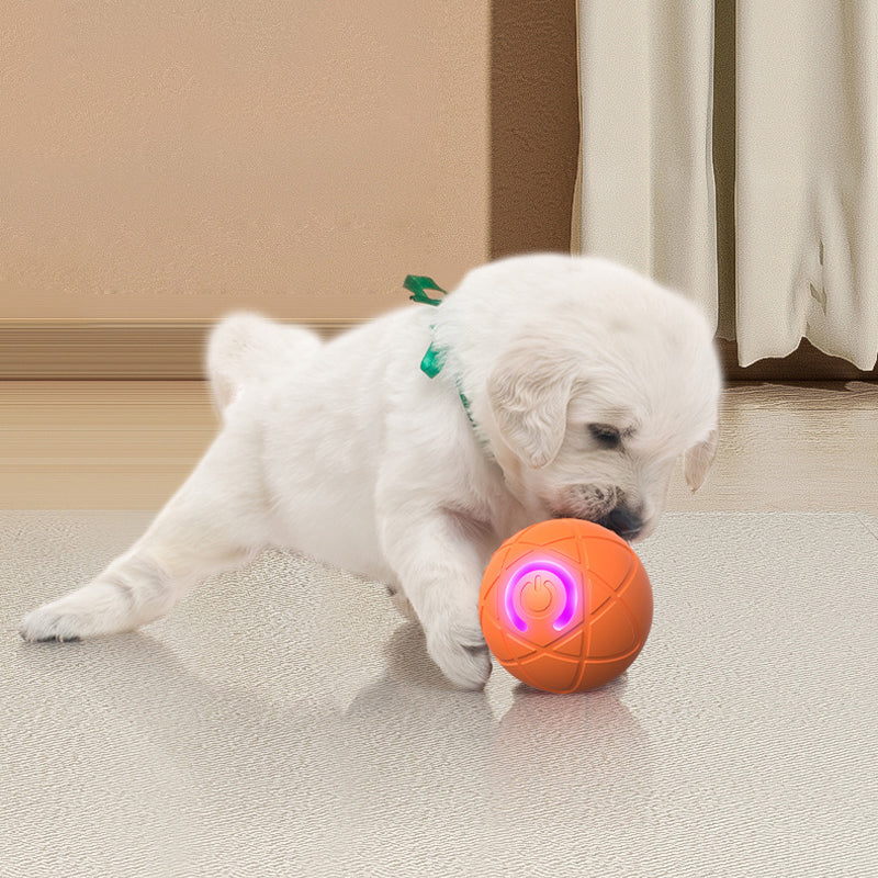 🐕60% OFF FLASH SALE! ✨Auto Bouncing Smart Pet Ball